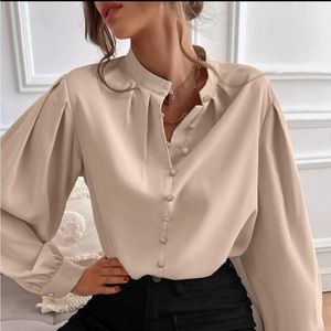 Bishop Sleeve Buttom Up Blouse